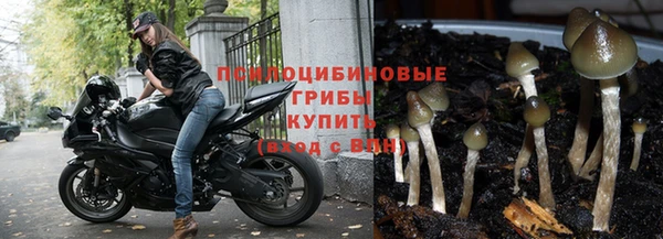 МДМА Карпинск