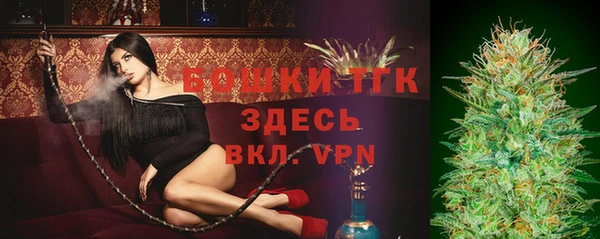 мдпв Касимов