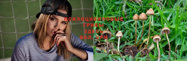 мдпв Касимов