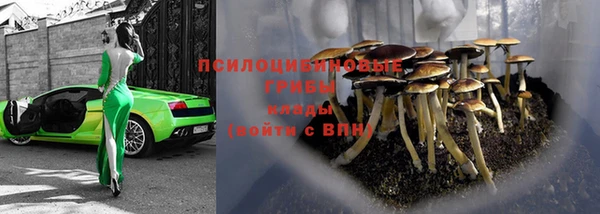 мдпв Касимов