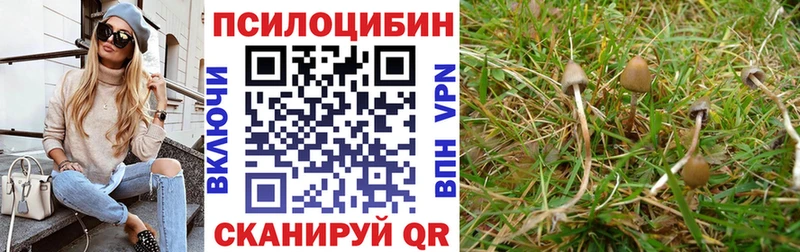 Купить  Троицк  Галлюциногенные грибы GOLDEN TEACHER 